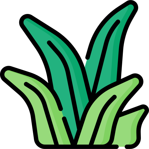 elloa emoji grass 4866753 38 - Elloa elloa emoji grass