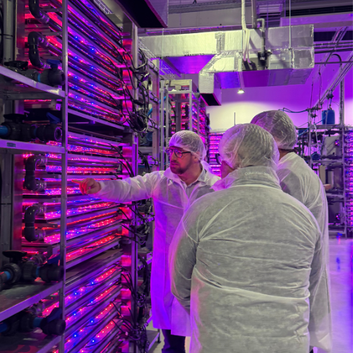 elloa equipe vincent 11